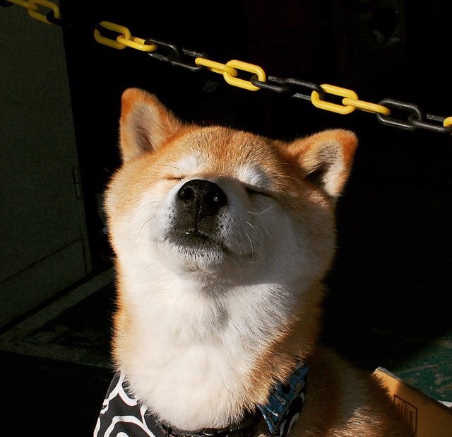 国王爆冷逆袭活塞,爱德华兹在美加墨世界杯赛场独揽风云,体育世界的惊喜与新生代崛起