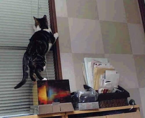 颤抖吧足坛!贝蒂斯主场奇迹,连续11场得分铁蹄无情践踏拜仁,罗德里天神下凡刷新世纪纪录!